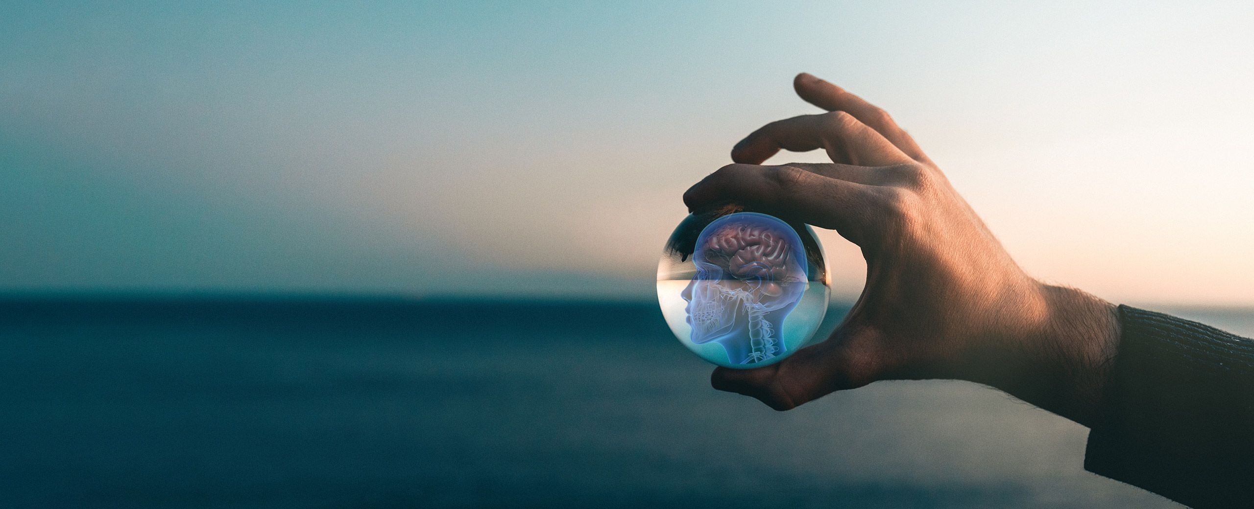 Qual o Limite para Desenvolver sua Mente?